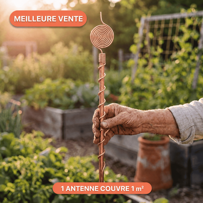 Antenne d'Électroculture en Cuivre CUIV