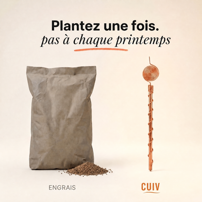 Antenne d'Électroculture en Cuivre CUIV