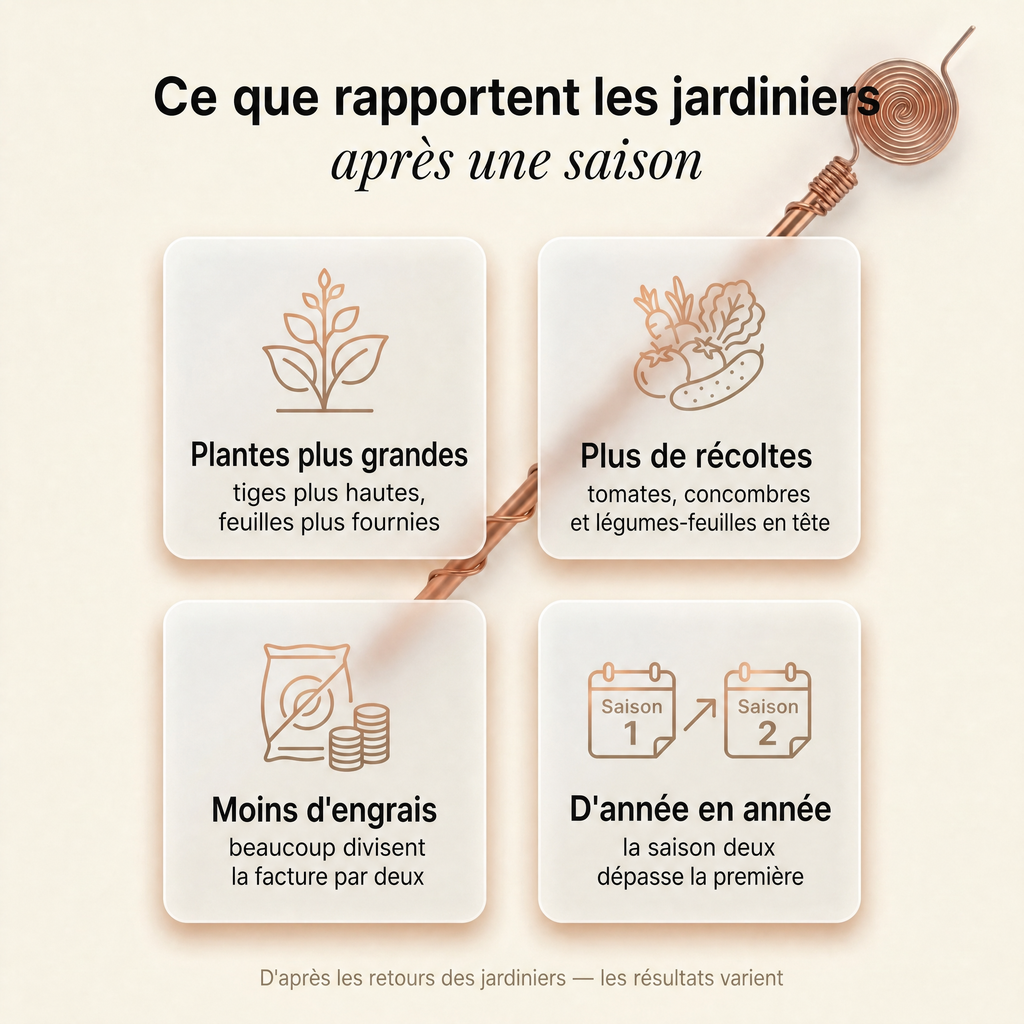 Antenne d'Électroculture en Cuivre CUIV