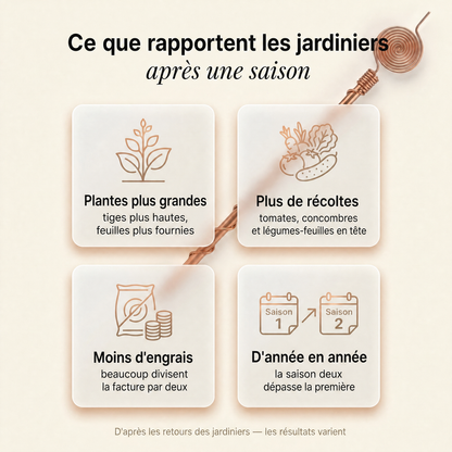 Antenne d'Électroculture en Cuivre CUIV